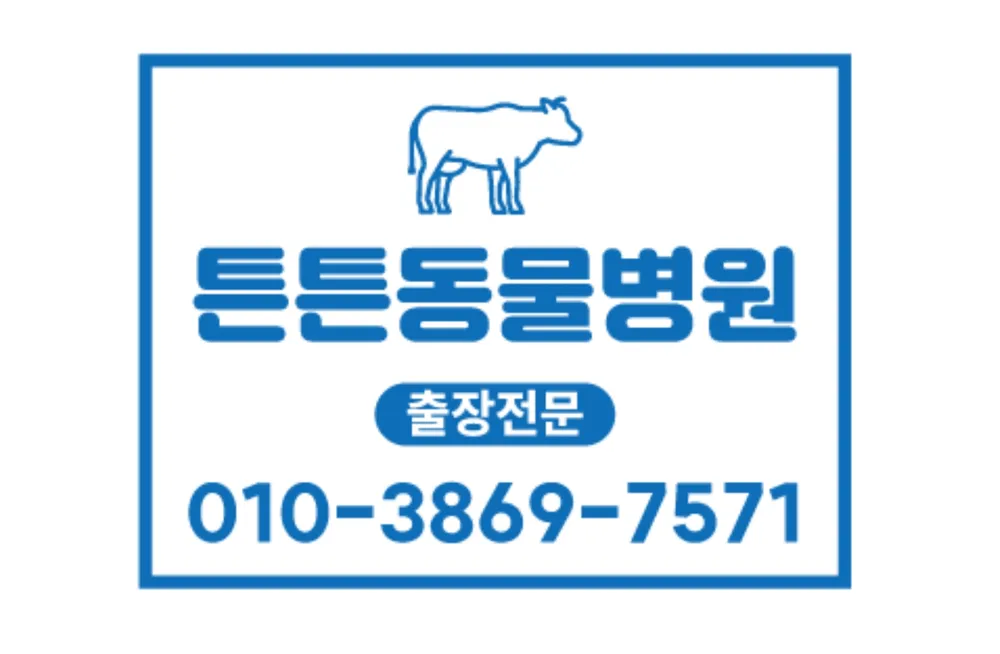 튼튼동물병원 대표 이미지