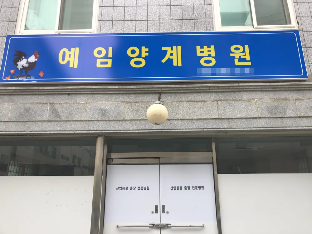예임양계병원 대표 이미지
