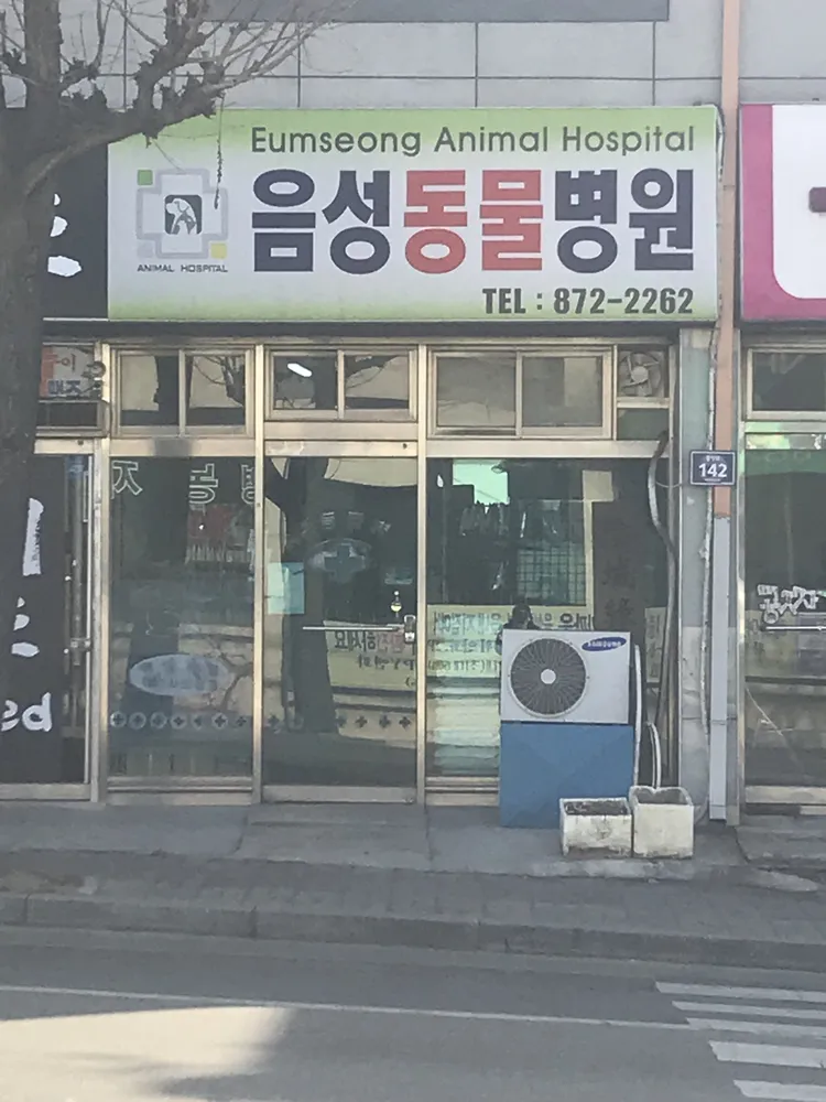 음성동물병원 대표 이미지