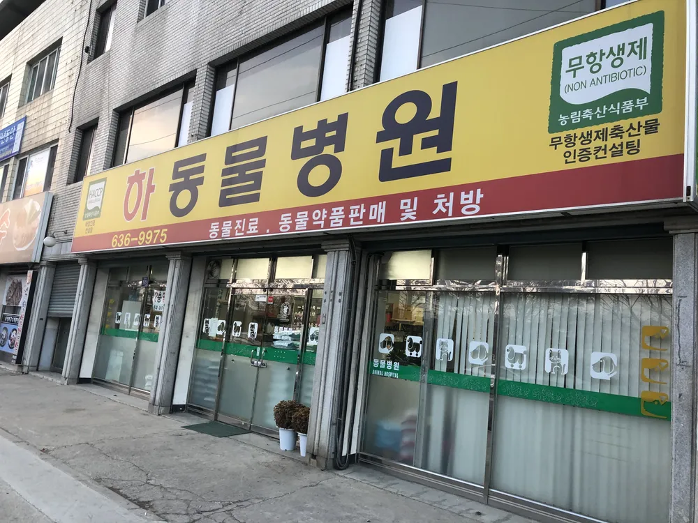 하동물병원 대표 이미지