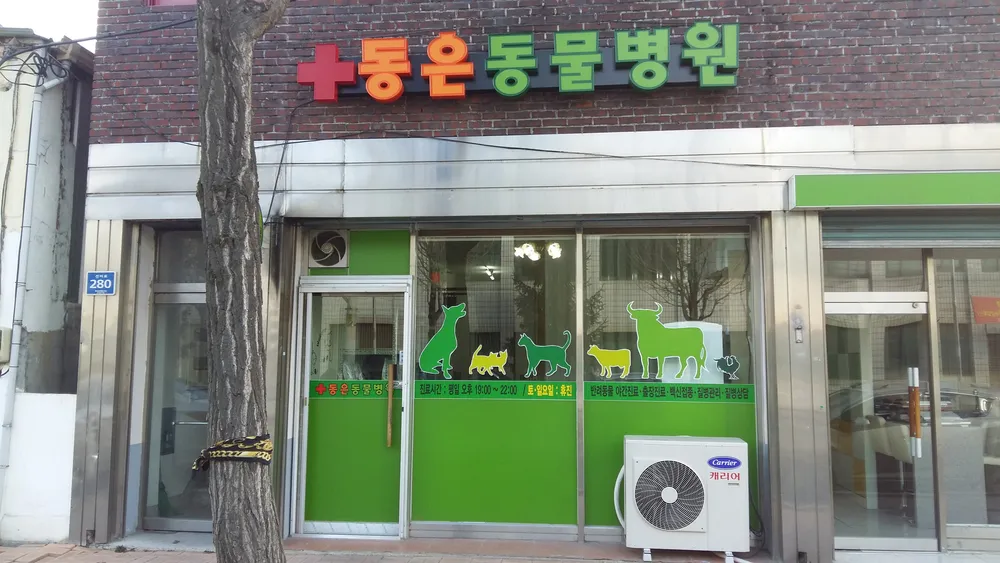 동은동물병원 대표 이미지