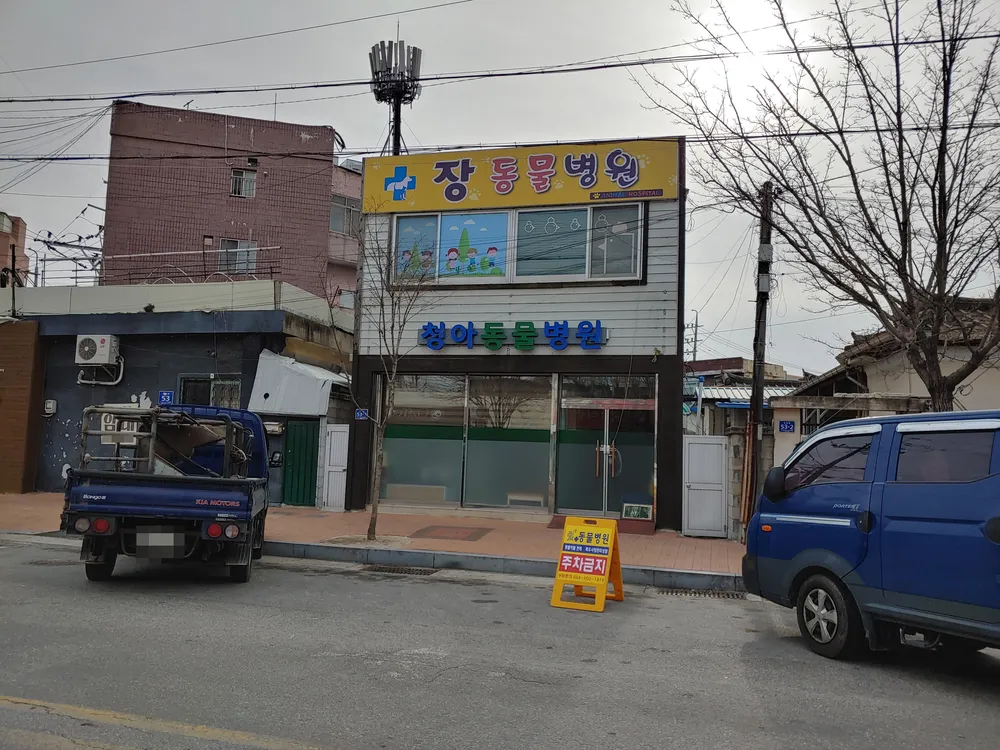 청아동물병원 대표 이미지