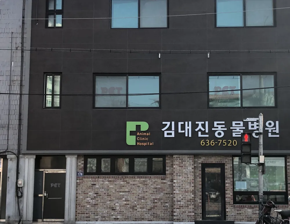 김대진동물병원 대표 이미지