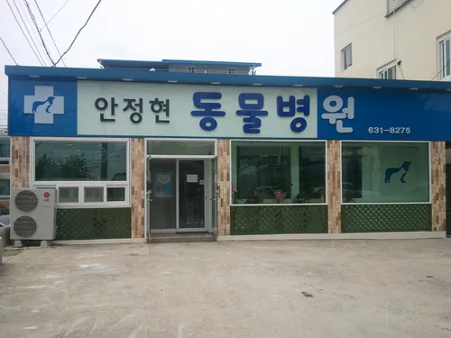 안정현동물병원 대표 이미지