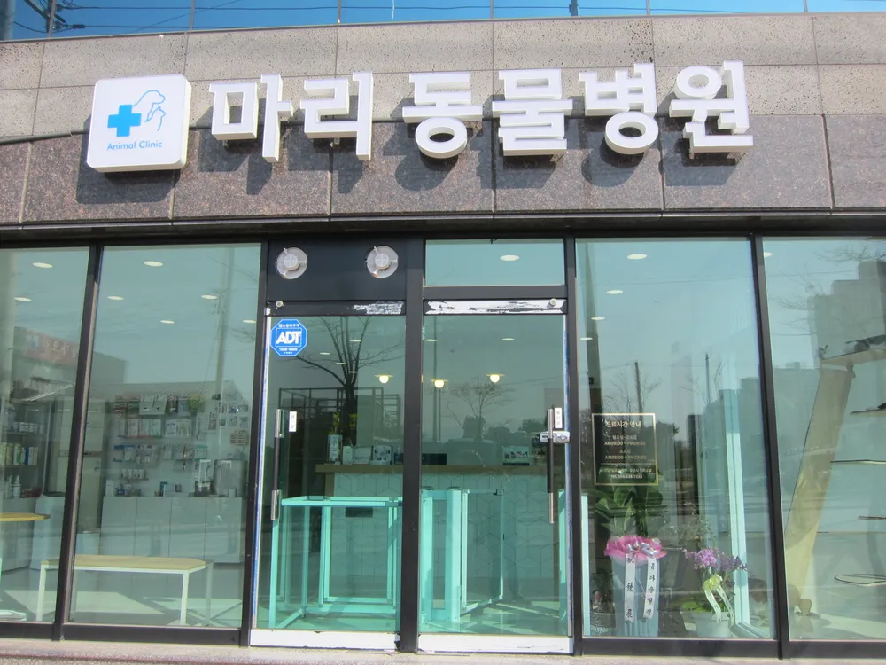 마리동물병원 대표 이미지
