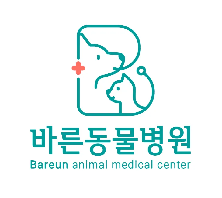 바른동물병원 대표 이미지