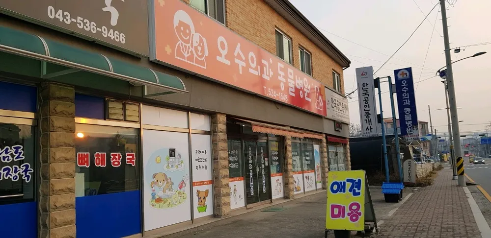 오수의과동물병원 대표 이미지