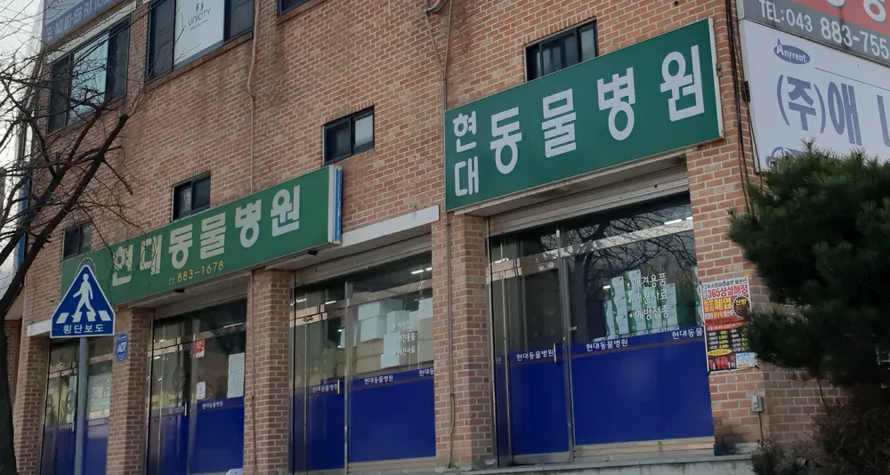 현대동물병원 대표 이미지