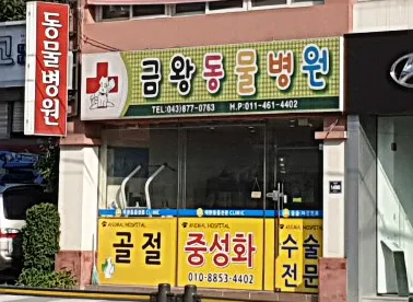 금왕동물병원 대표 이미지
