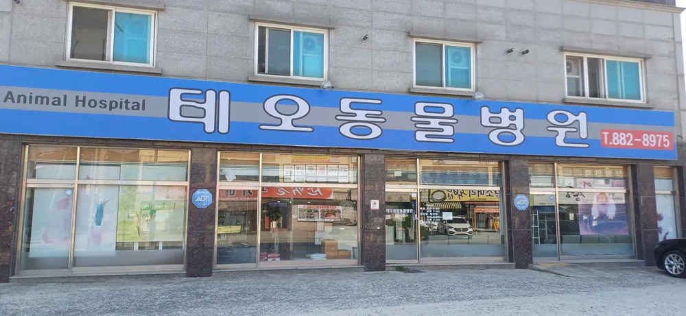 테오동물병원 대표 이미지