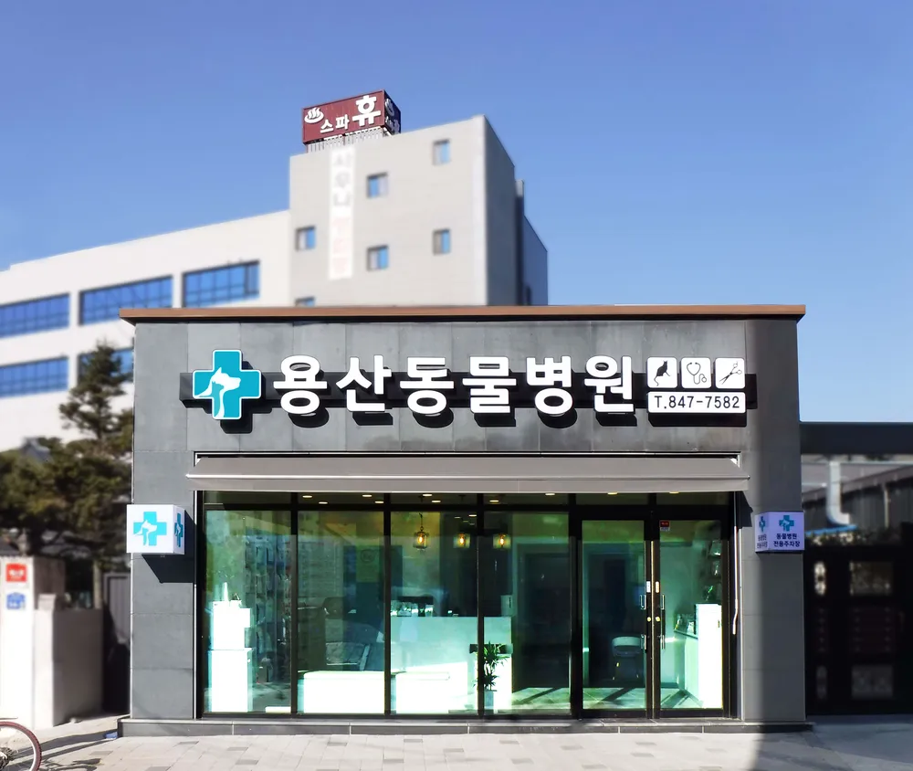 용산동물병원 대표 이미지