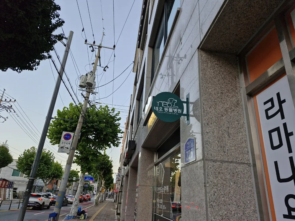 네오동물병원 대표 이미지