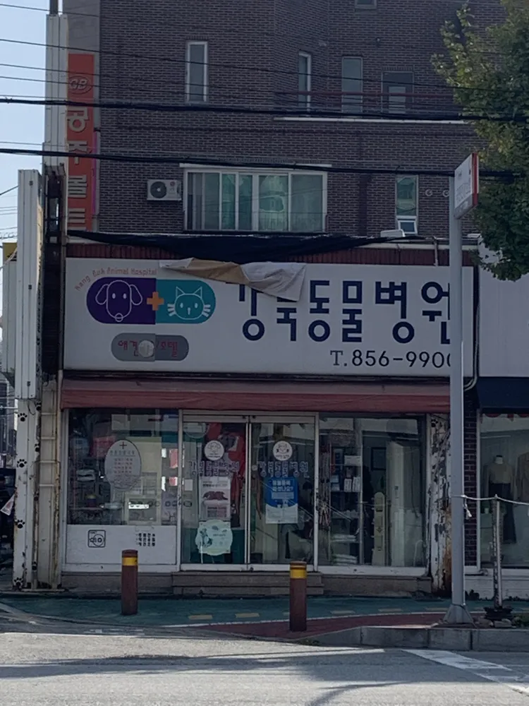 강북동물병원 대표 이미지