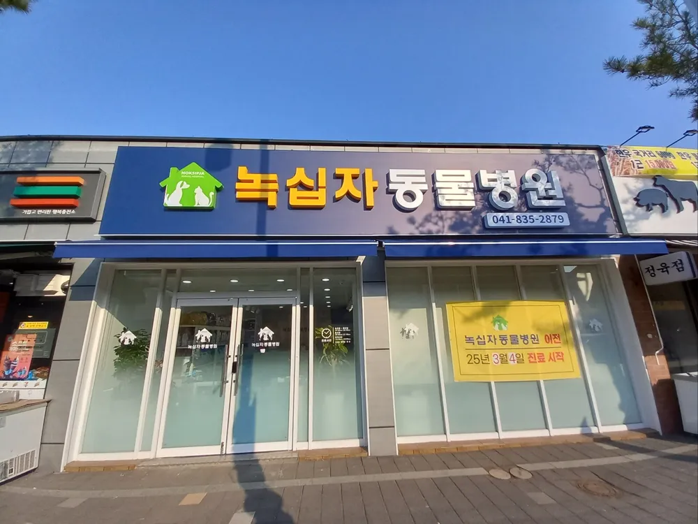 녹십자동물병원 대표 이미지