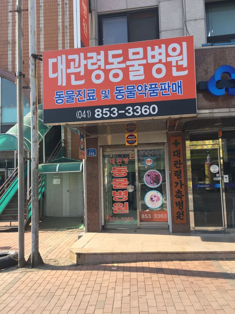 대관령동물병원 대표 이미지