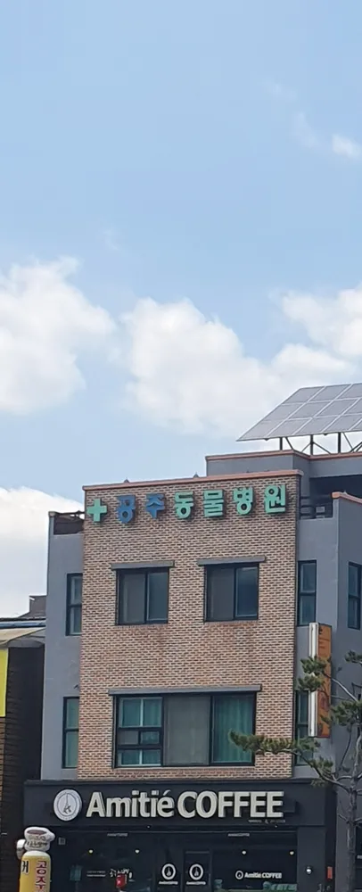 공주동물병원 대표 이미지