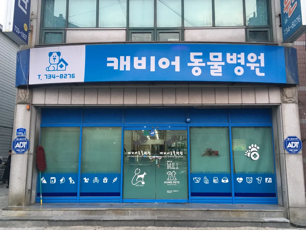 캐비어동물병원 대표 이미지