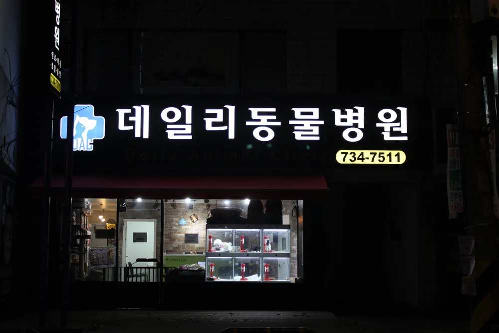 데일리동물병원 대표 이미지