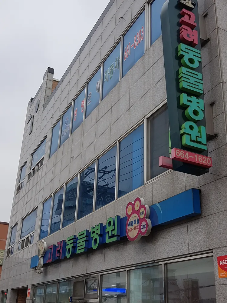 고려동물병원 대표 이미지