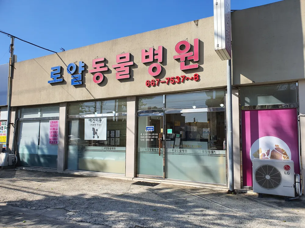 로얄동물병원 대표 이미지