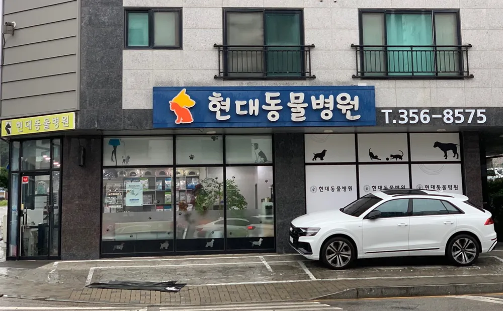 현대동물병원 대표 이미지