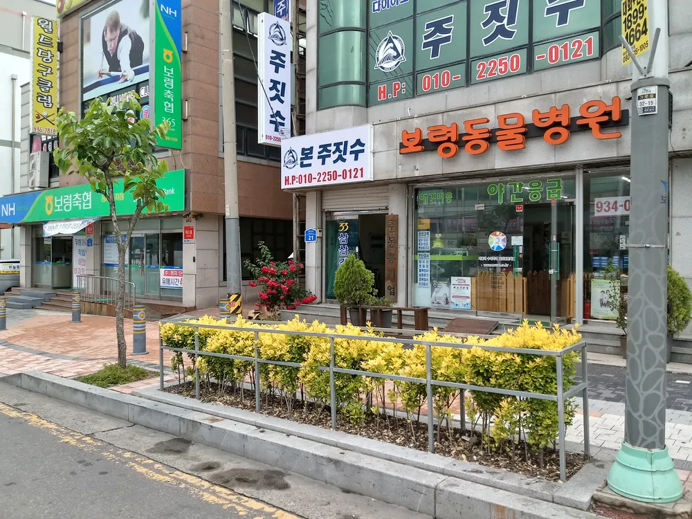 보령동물병원 대표 이미지