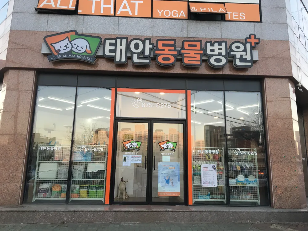 태안동물병원 대표 이미지
