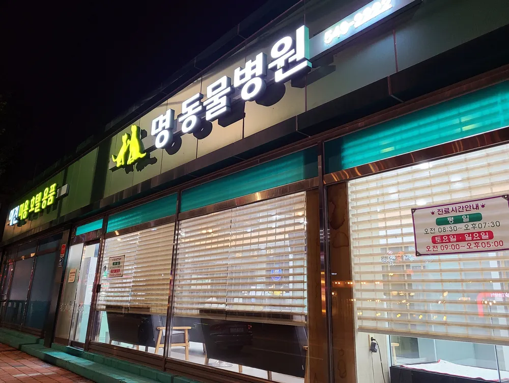 명동물병원 대표 이미지