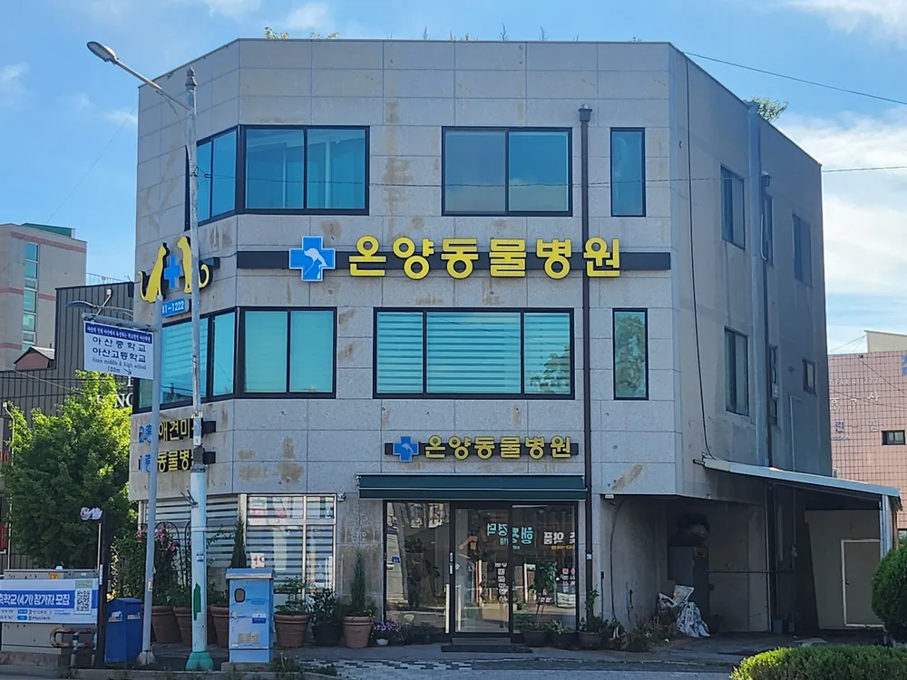 온양동물병원 대표 이미지
