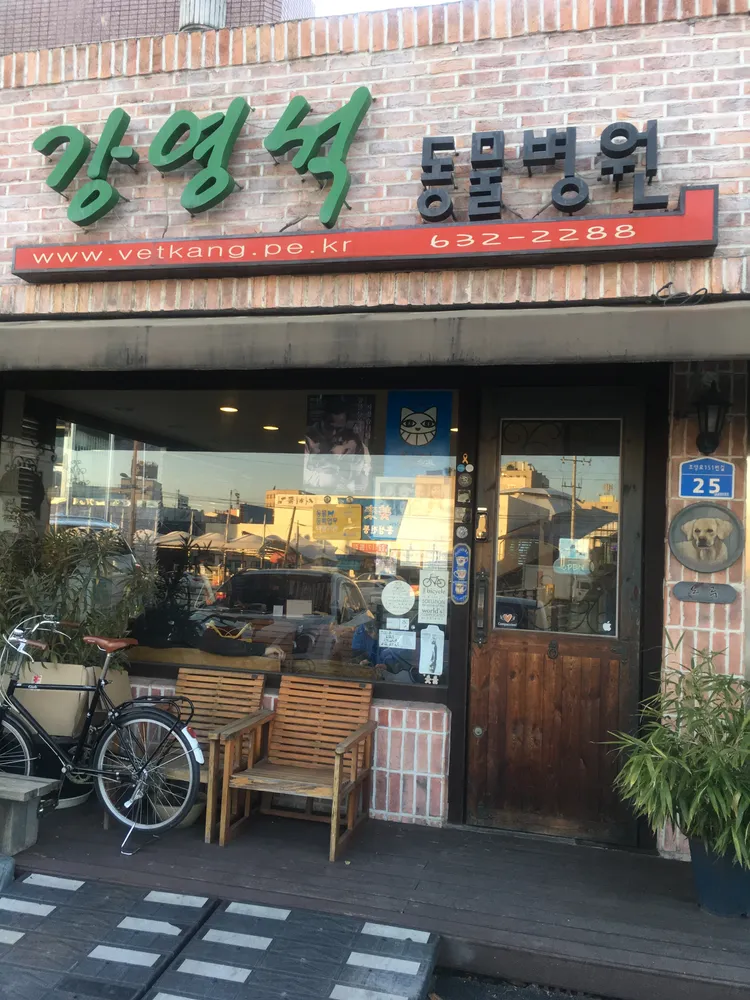 강영석동물병원 대표 이미지