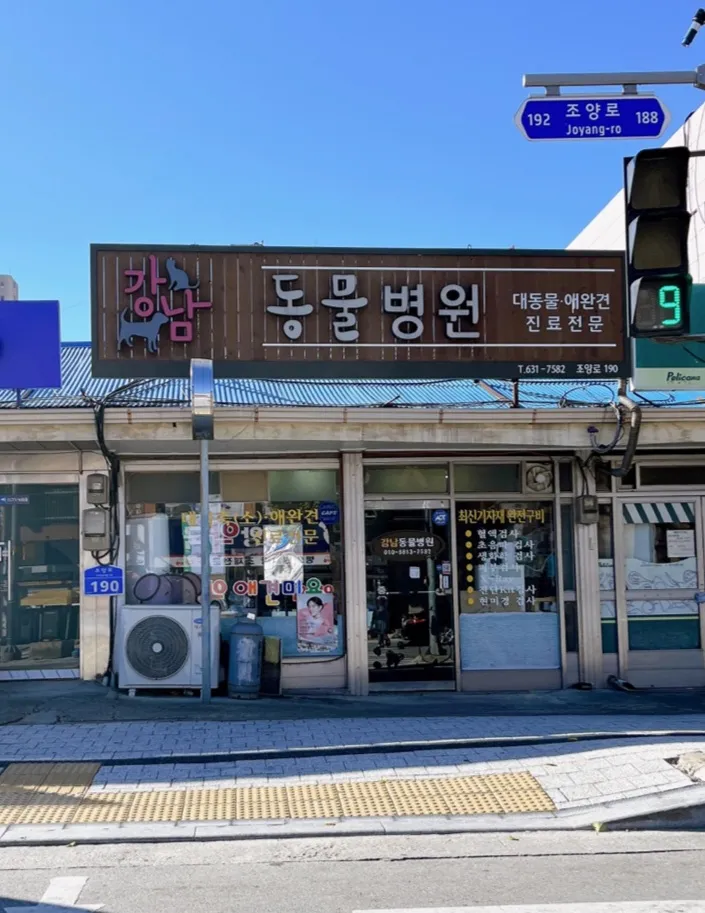 강남동물병원 대표 이미지
