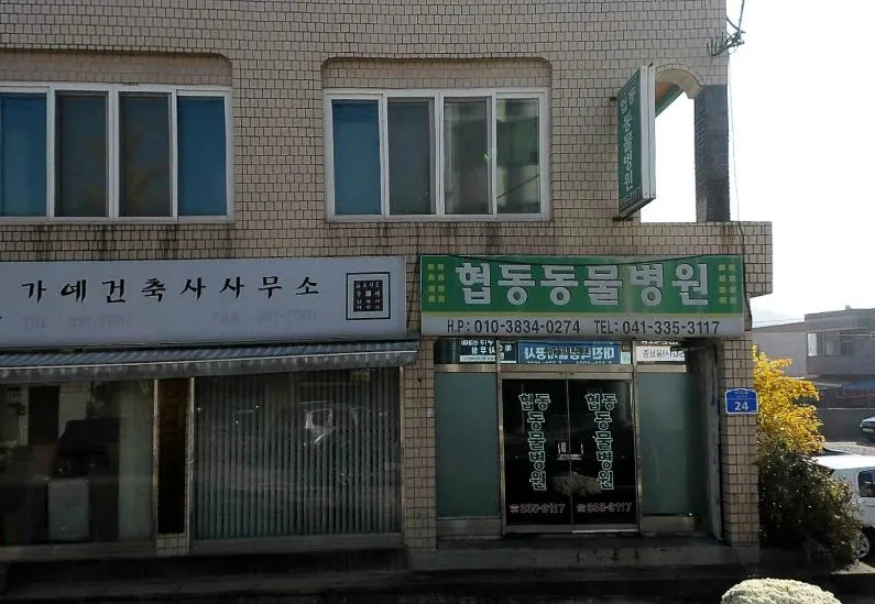 협동동물병원 대표 이미지