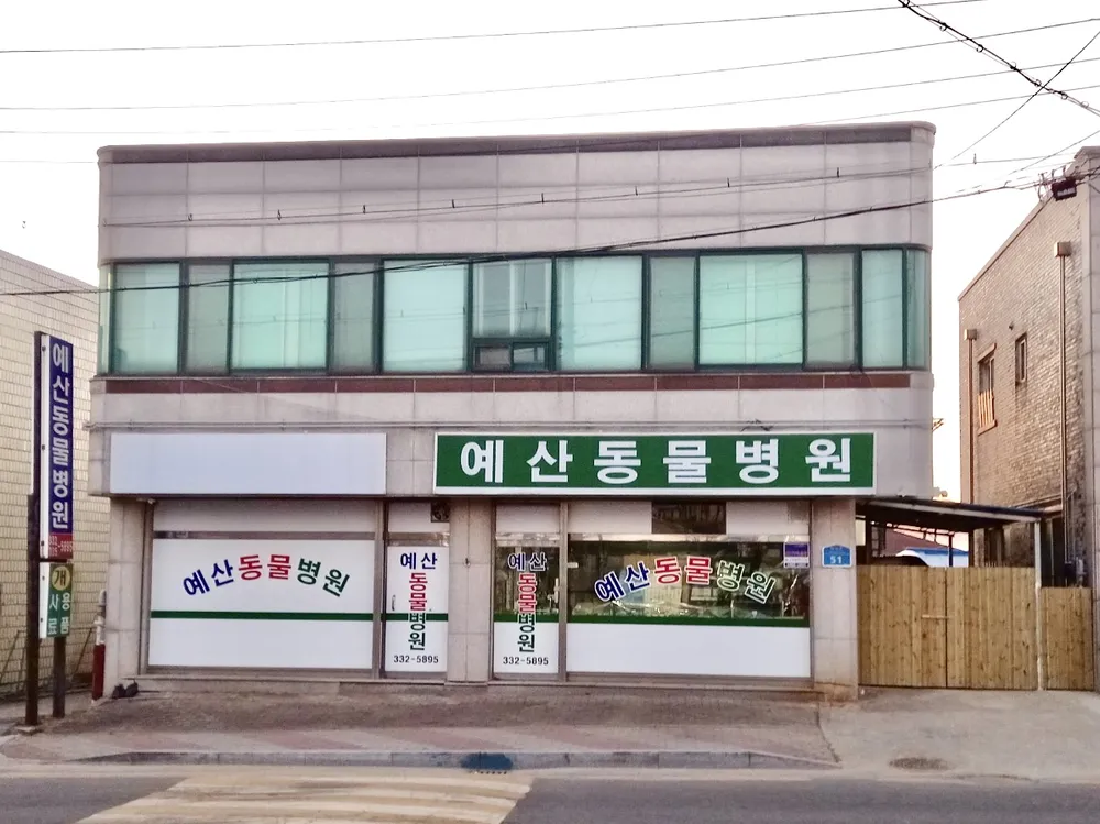 예산동물병원 대표 이미지
