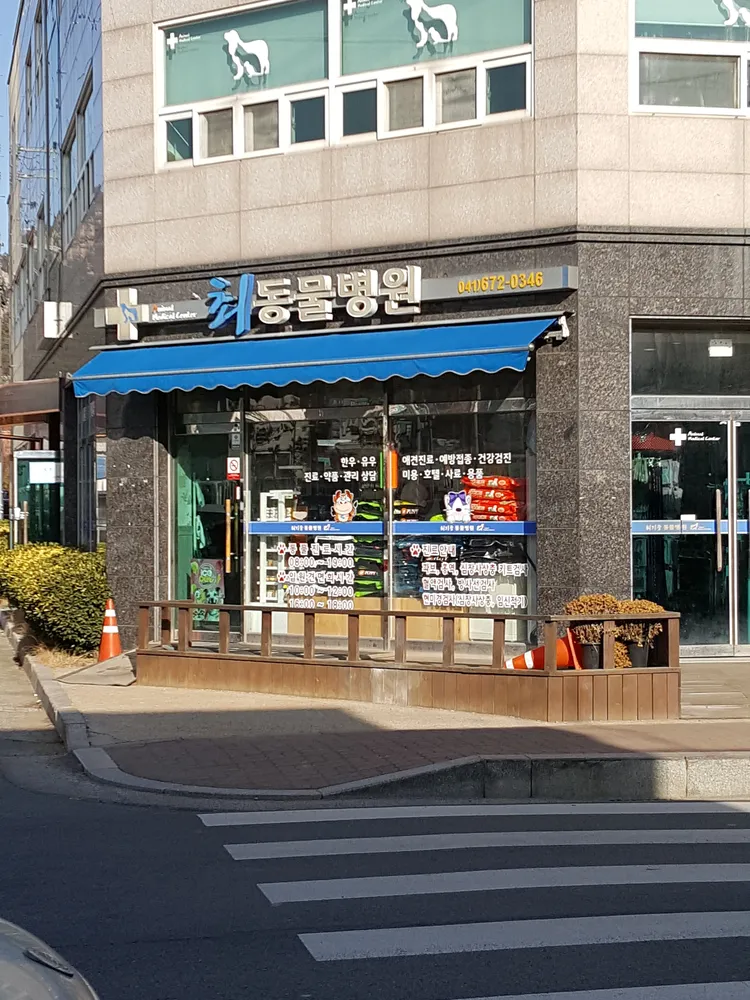 최동물병원 대표 이미지