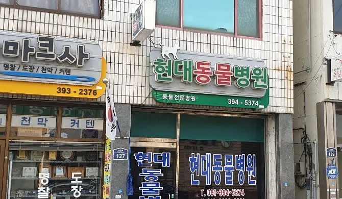 현대동물병원 대표 이미지