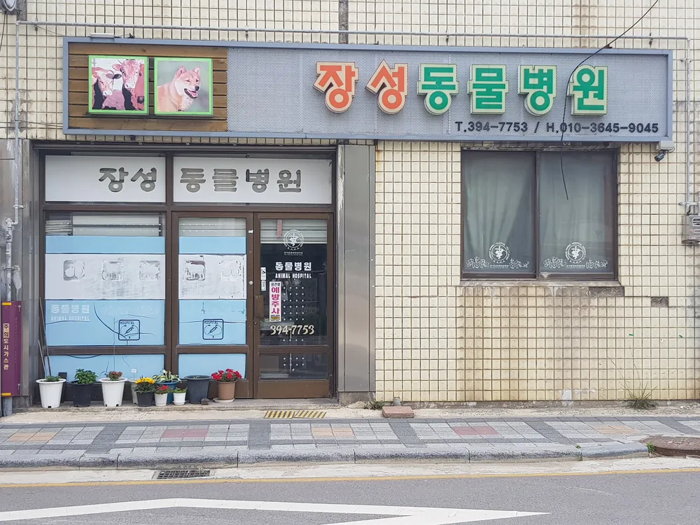 장성동물병원 대표 이미지