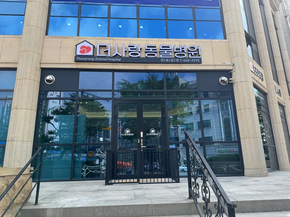 더사랑동물병원 대표 이미지