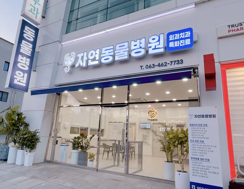 자연동물병원 대표 이미지