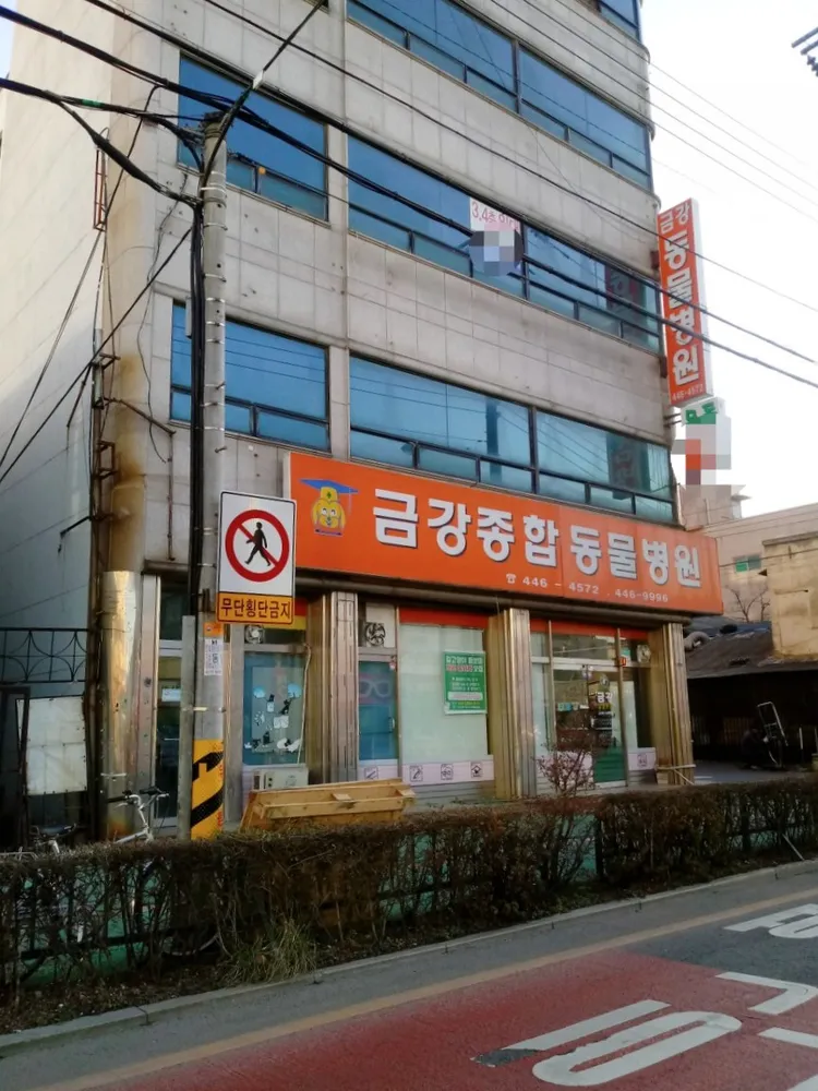 금강동물병원 대표 이미지