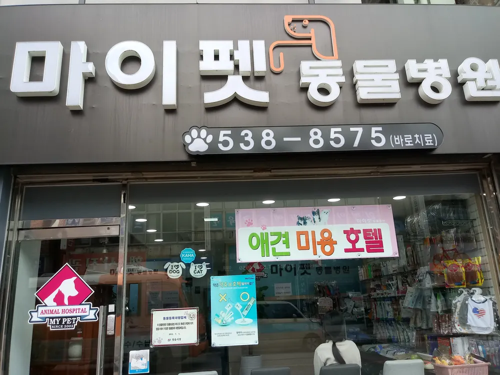 마이펫동물병원 대표 이미지
