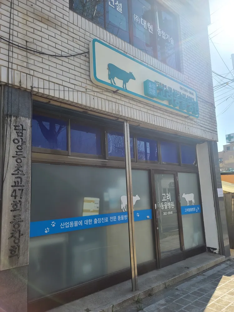 고려동물병원 대표 이미지