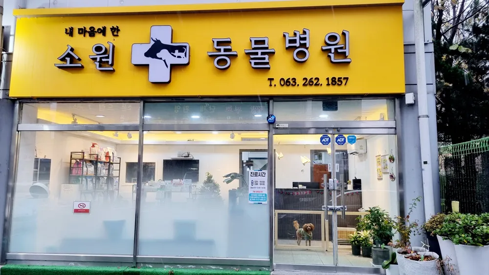 소원동물병원 대표 이미지