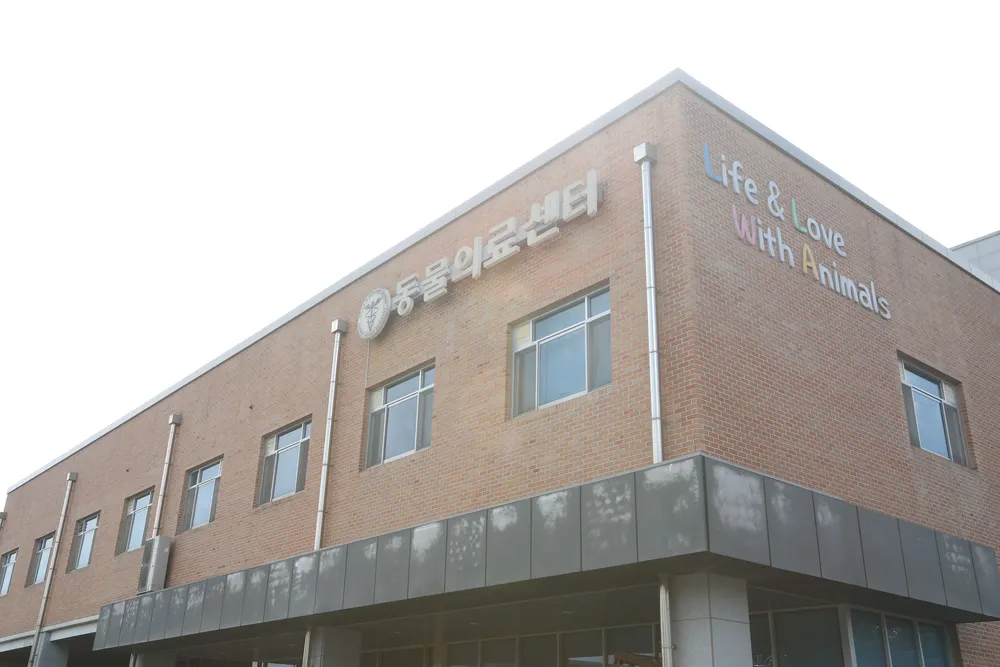 전북대학교 전북동물의료센터 대표 이미지