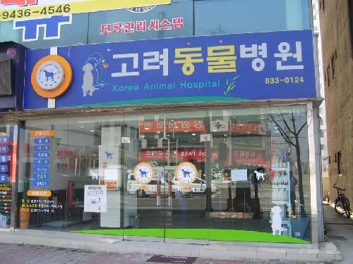 고려동물병원 대표 이미지