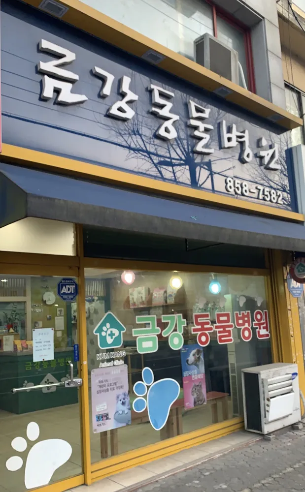금강동물병원 대표 이미지