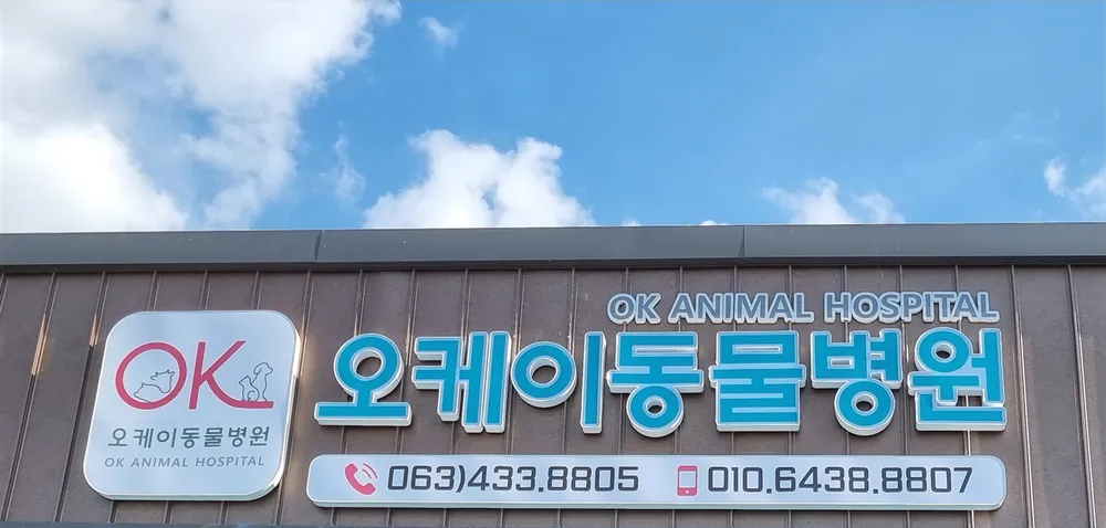 오케이동물병원 대표 이미지