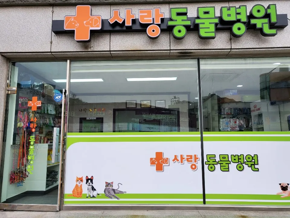 사랑동물병원 대표 이미지