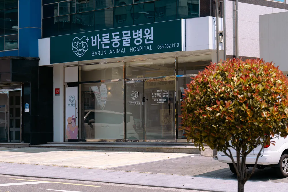 바른동물병원 대표 이미지