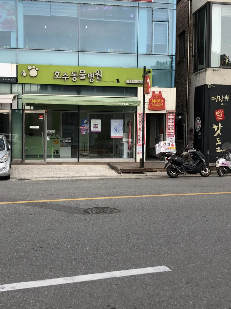 호수동물병원 대표 이미지