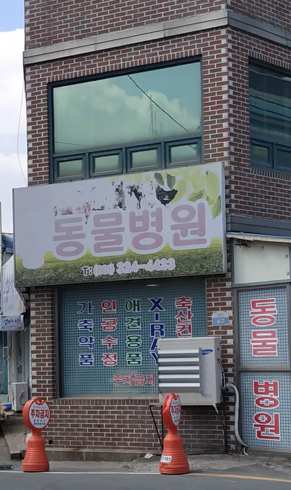 영생동물병원 대표 이미지